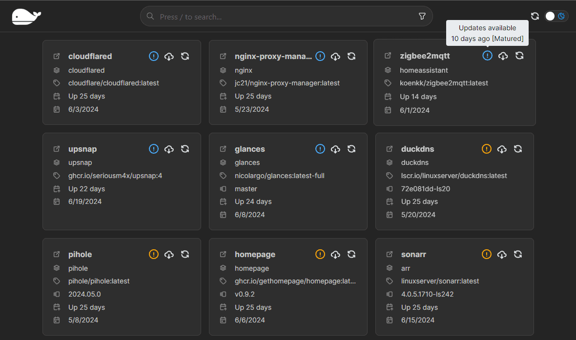 Screenshot of the platform's dashboard page with a listing of Docker containers and relevant details (name, image, version, latest release, uptime)