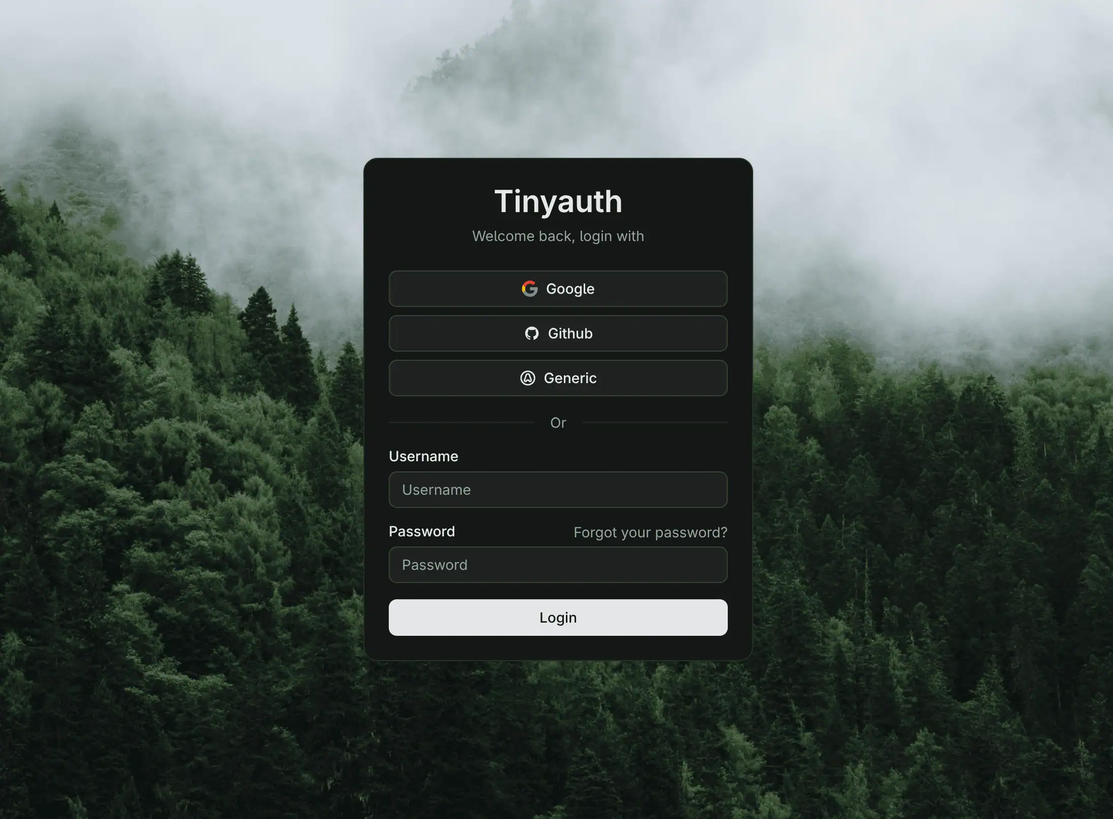 A screenshot of Tinyauth's login screen featuring various OAuth provider selections (Google, GitHub, and Generic) and username/password fields.