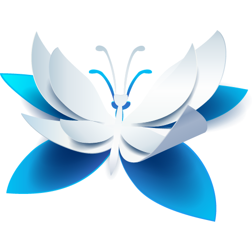 Wiki