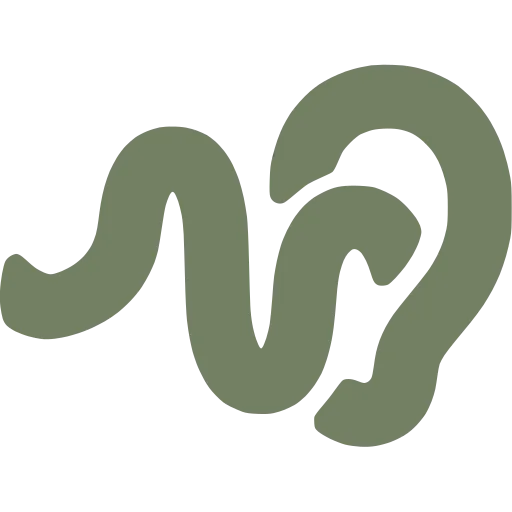 Aurral — Logo