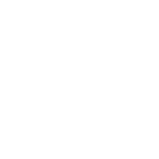 FlashPaper — Logo