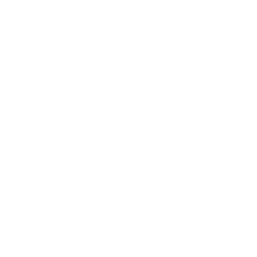 Fli.so — Logo