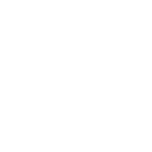 Gerbera
