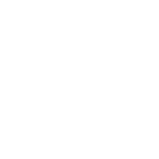 Payload — Logo