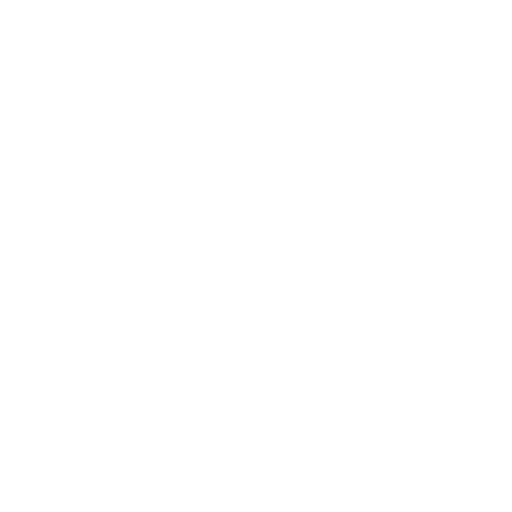 Sentry — Logo