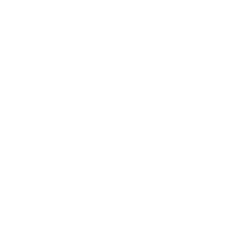 Zitadel — Logo