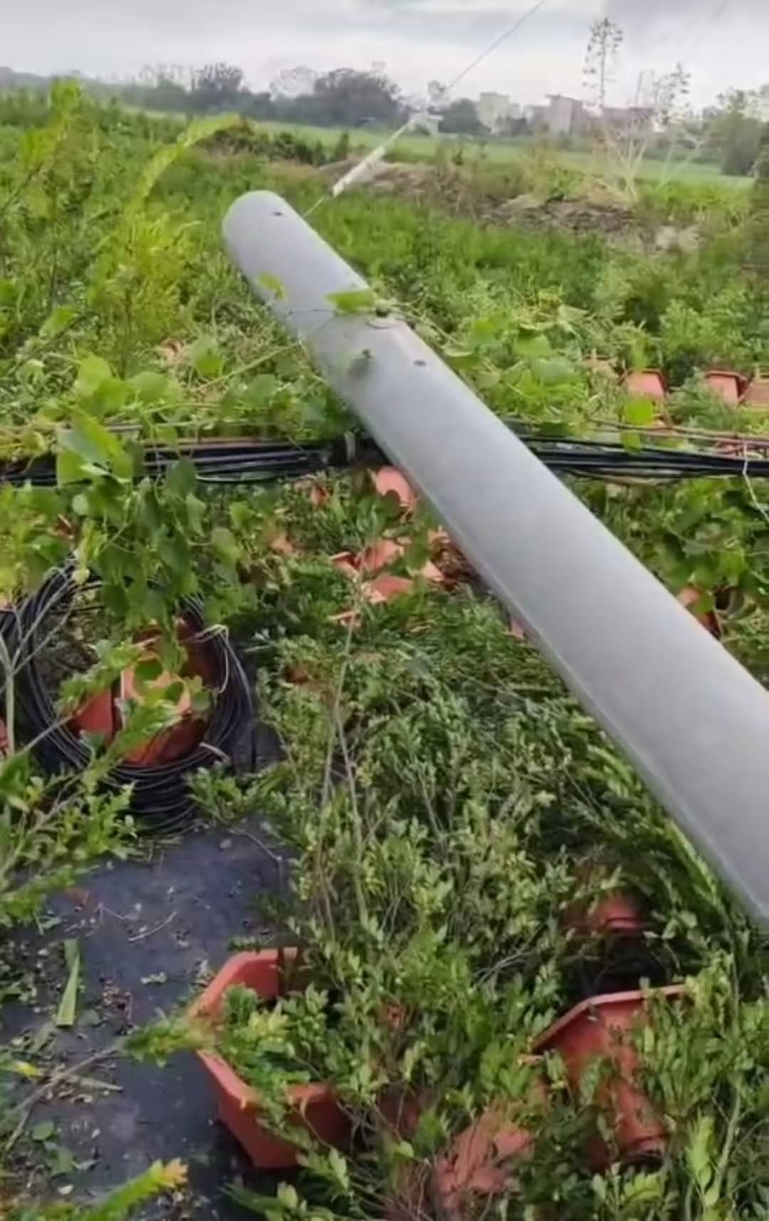 森纯博客-记录生活和分享知识的个人博客网站： 换眼镜挑选了一个小时最后还是后悔了？