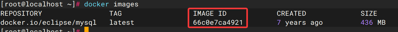 image-20250605205339766