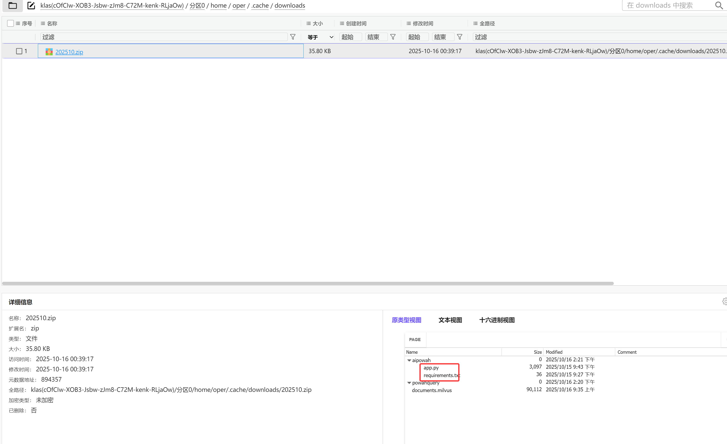 image-20251020195533500