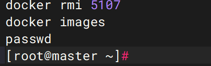 image-20251106125219142