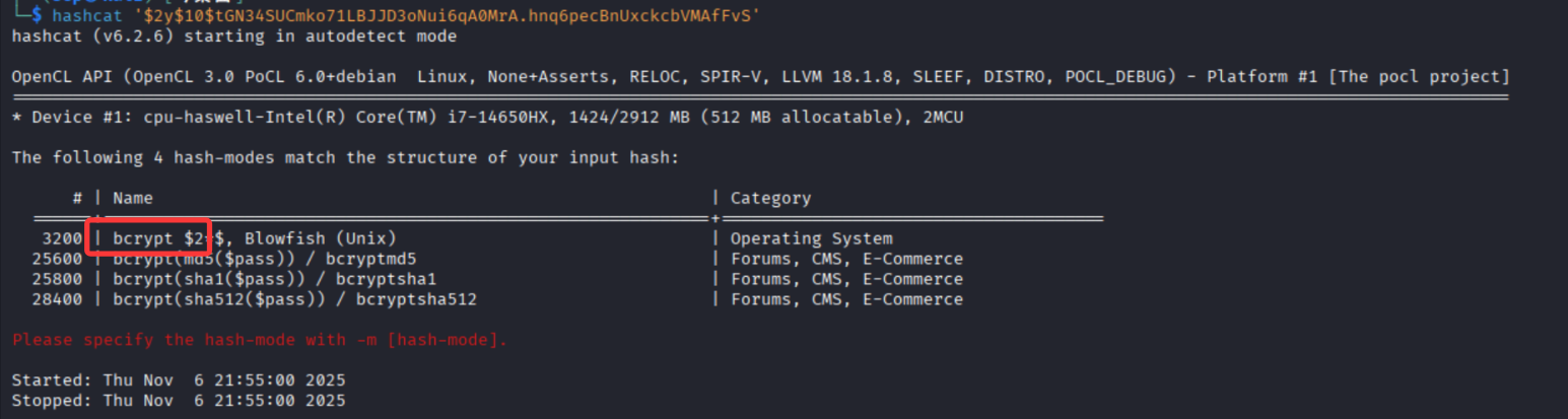 image-20251106215522348