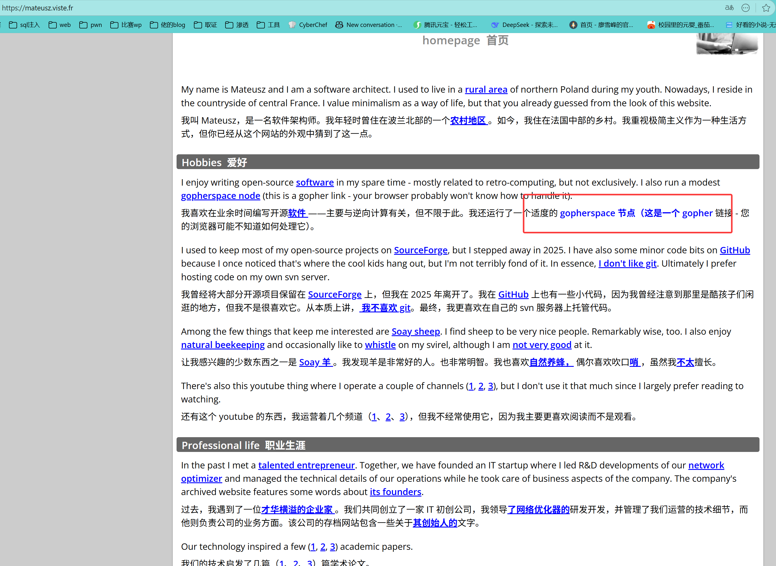 image-20251115191420716