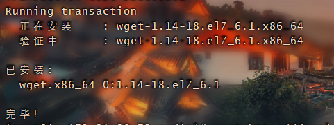 image-20210731223824191