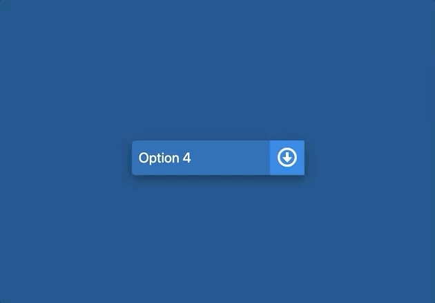 Styling Dropdown Select Box