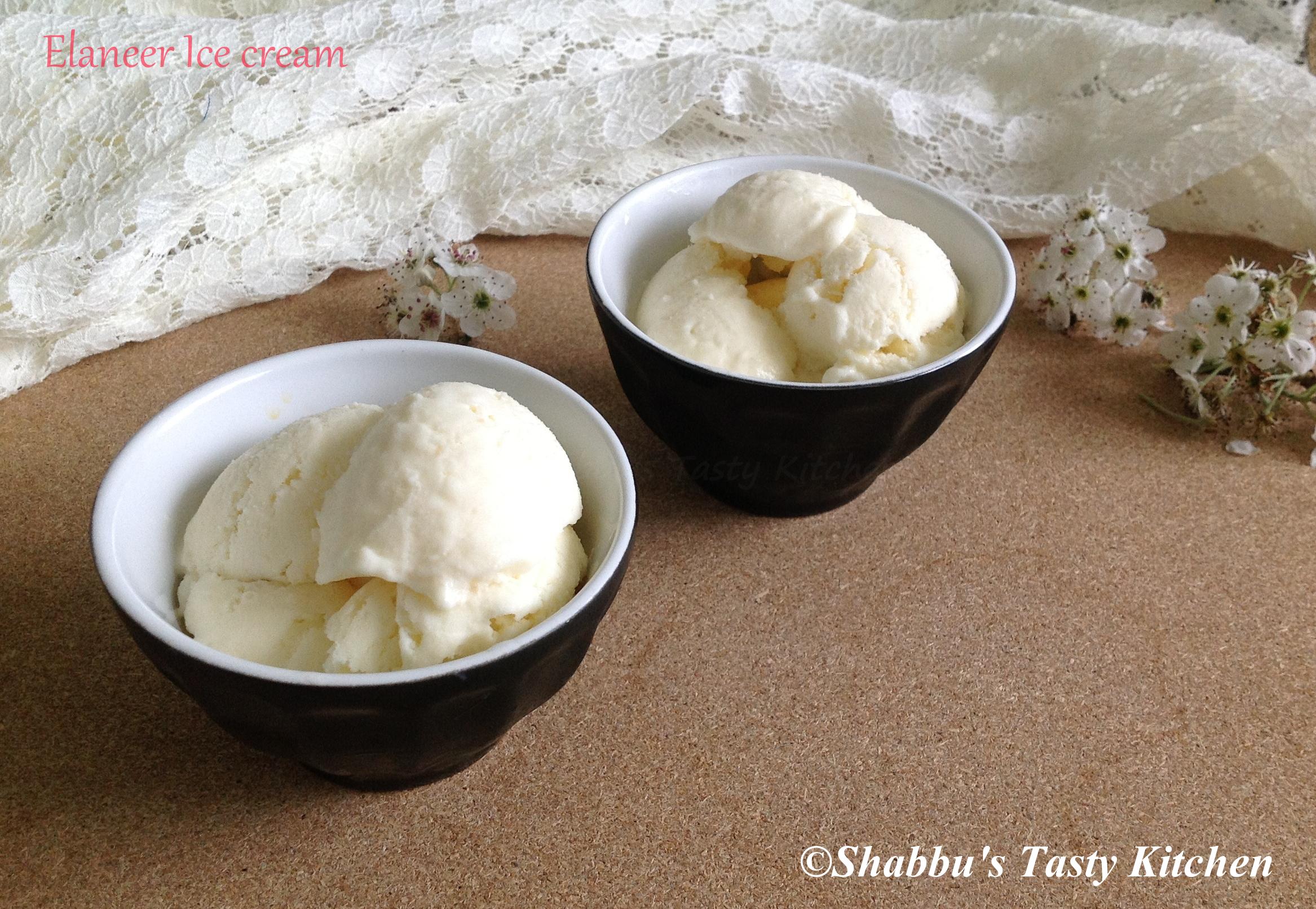 elaneer-tender-coconut-ice-crea