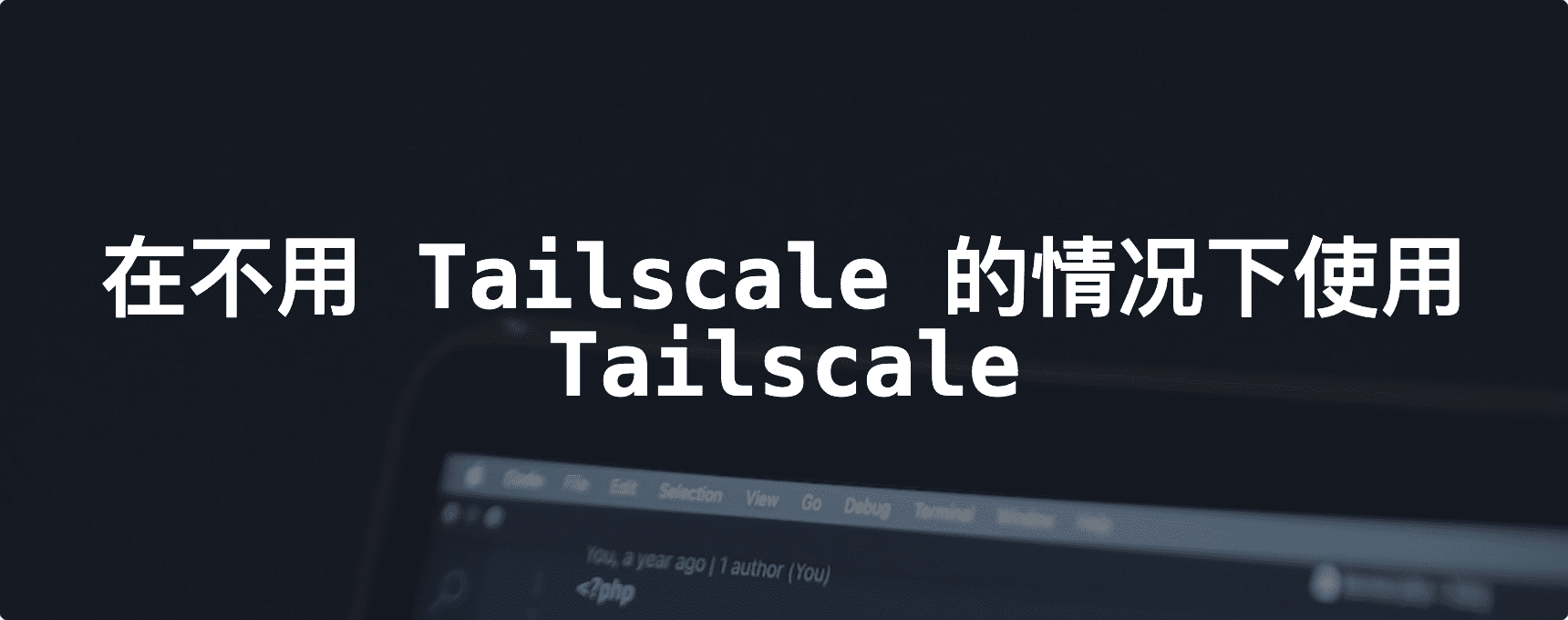Featured image of post 在不用Tailscale的情况下使用Tailscale