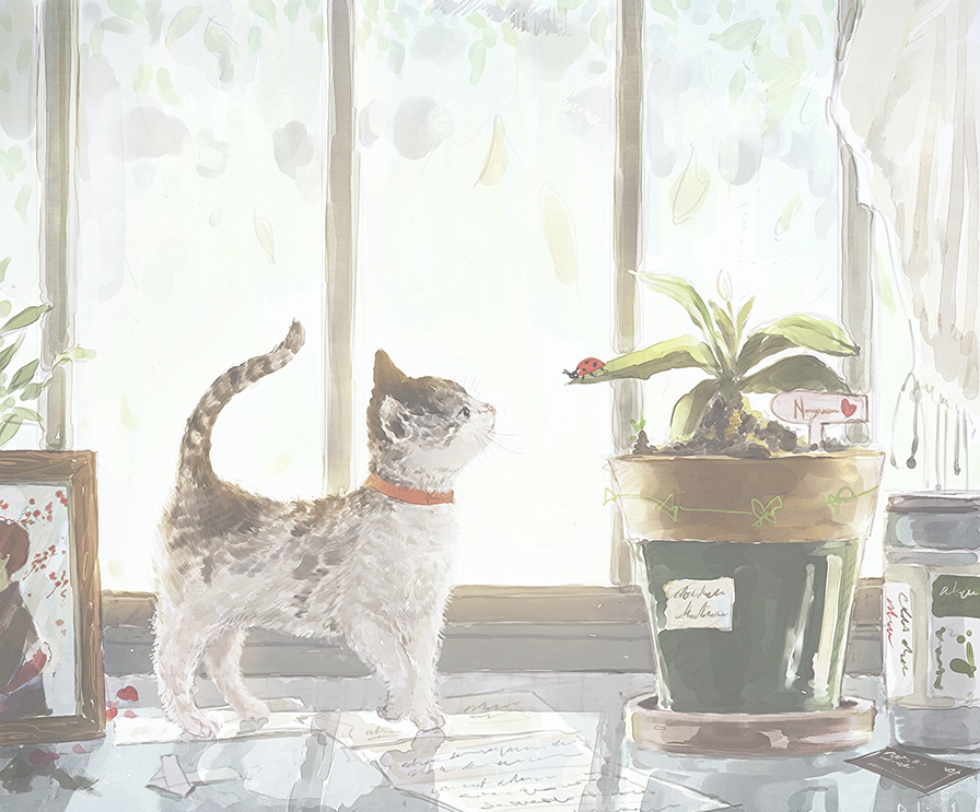 我的博客经营旅程