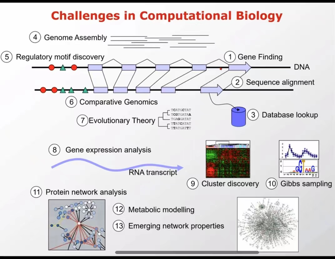  docker compose netspace