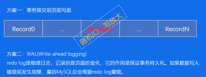 image-20250121221931305