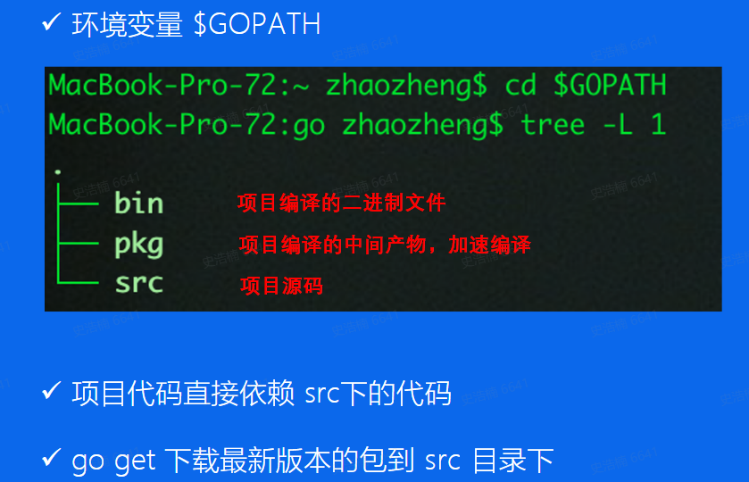 image-20250122223320351