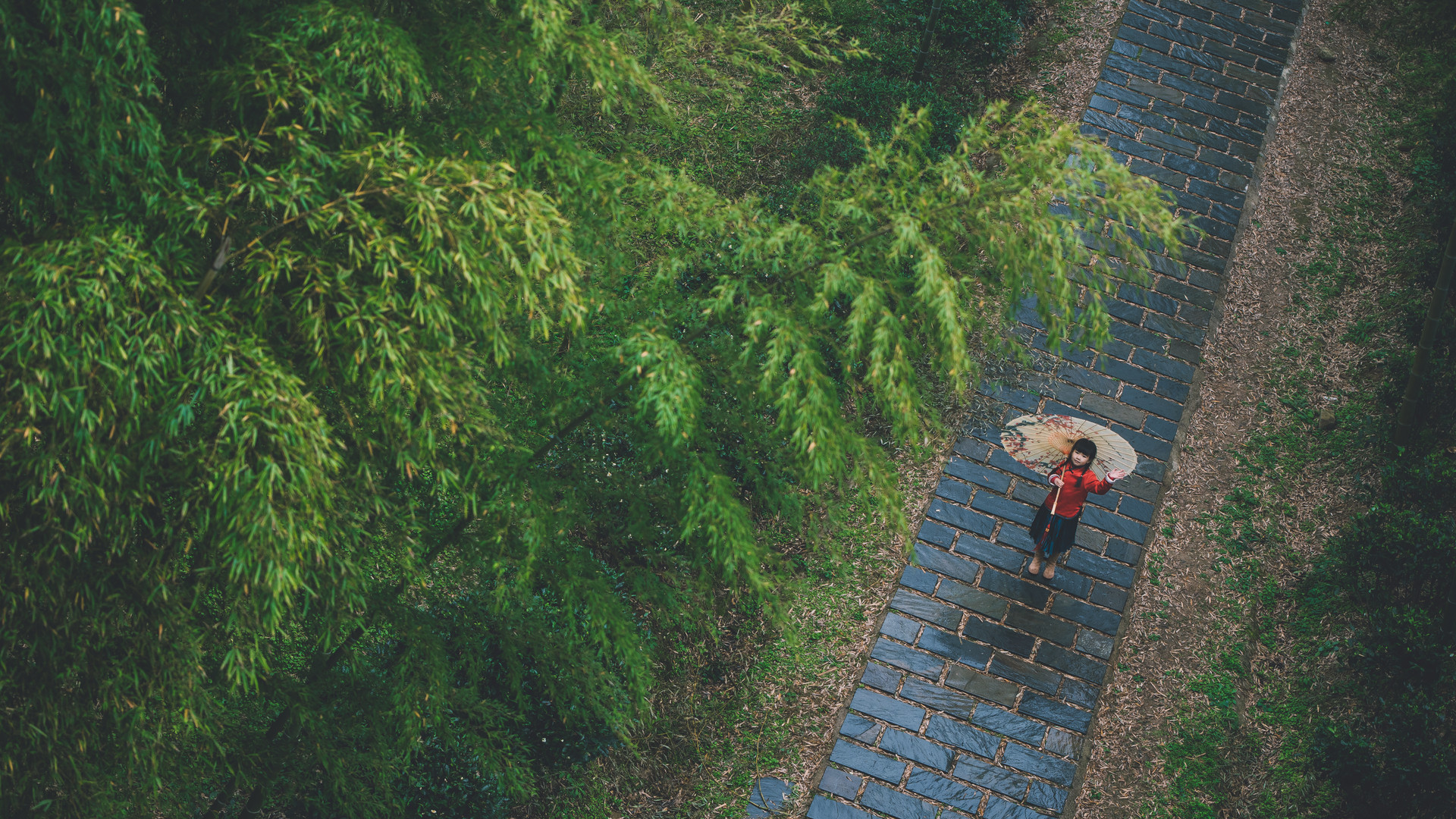 摄图网_500739697_banner_竹林中国风小女孩（非企业商用）