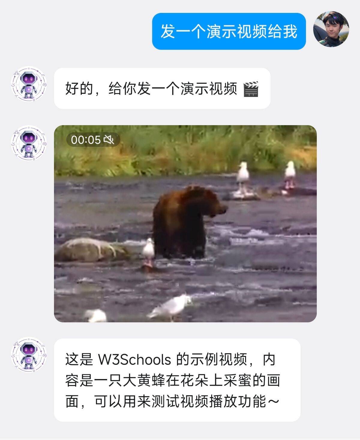 Video Sending Demo
