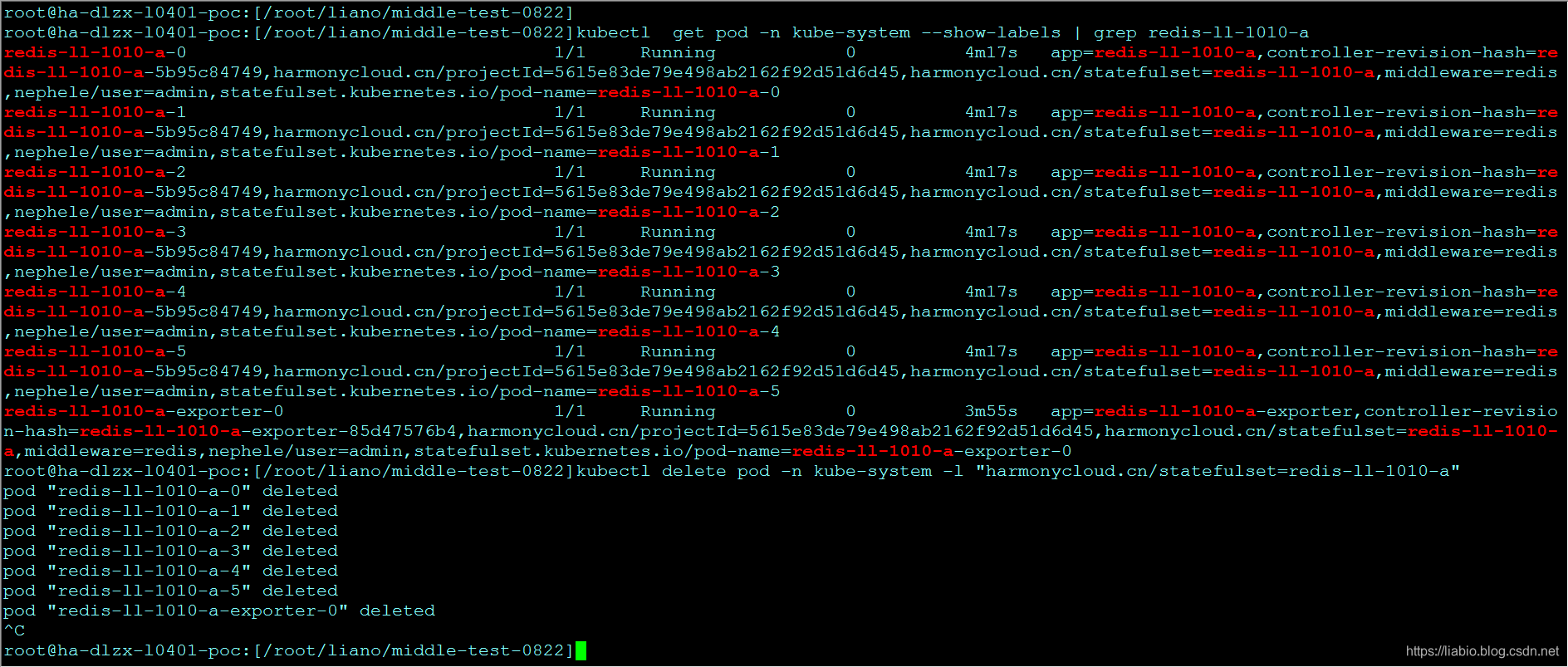 (/img/2019-10-10-batch-delet-k8s-resources/batch-delete-pods.png)]