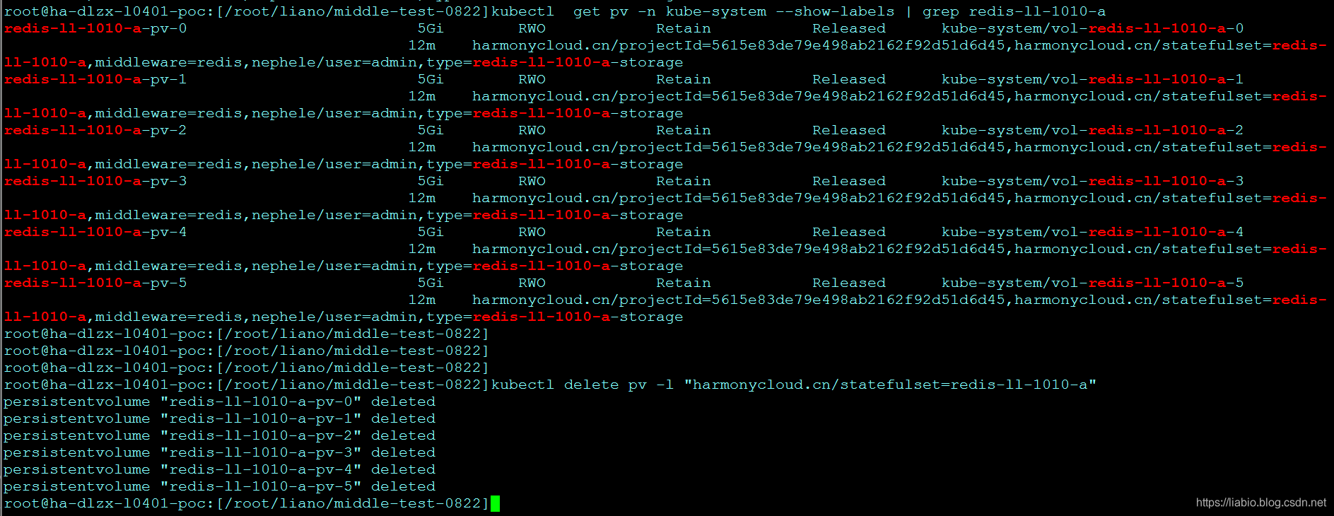 (/img/2019-10-10-batch-delet-k8s-resources/batch-delete-pvs.png)]