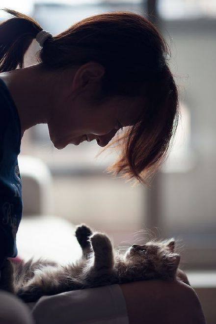 清新甜美的女生怀抱着猫咪的唯美图片