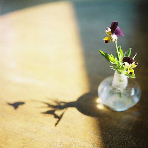 日系小清新图片