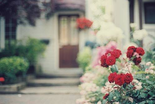 日系小清新图片