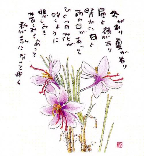 花の诗 -星野富弘画作