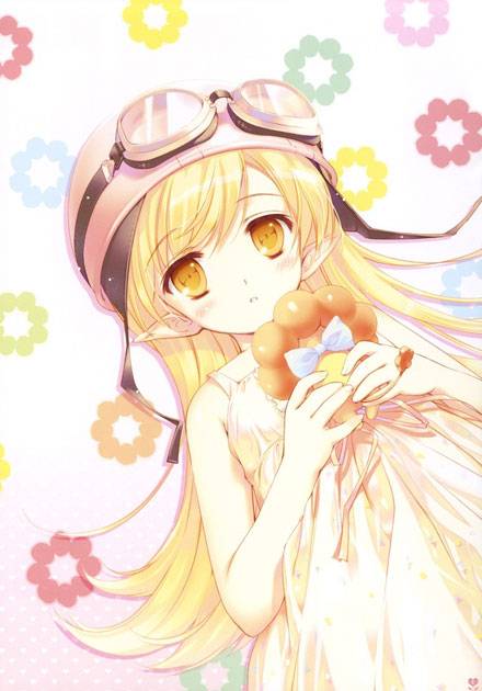 吸血鬼萝莉忍野忍图集(2)