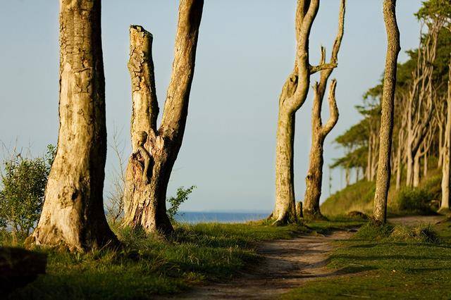 隐藏的彩绘少女：令人震惊的伪装人体艺术[24P]