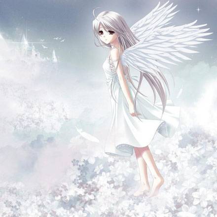 《白色透明》动漫美少女图片写真集大全(5)