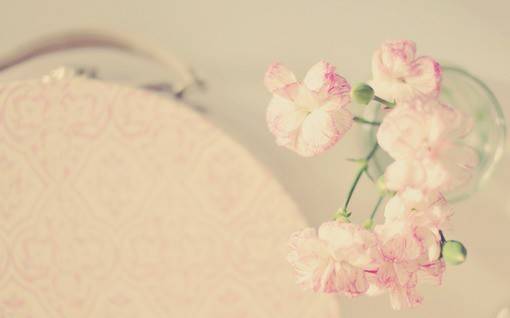 花朵小清新图片