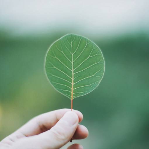 沁人心脾的清新系唯美胶片摄影美图