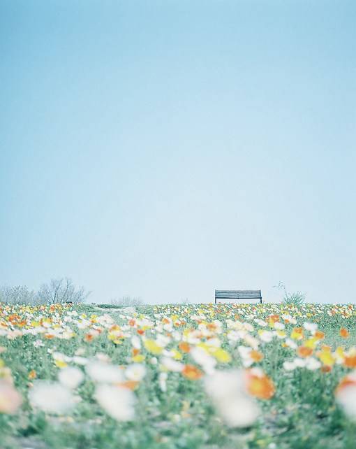 白色调日系小清新美图