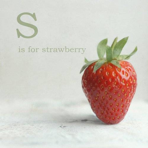 水果和英文字母