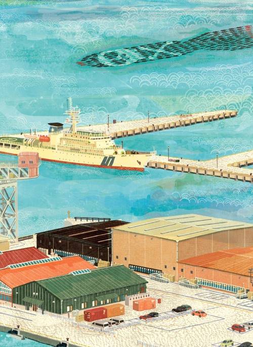 illustration插画作品