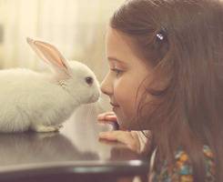 邻家女生都会用的小清新头像图片