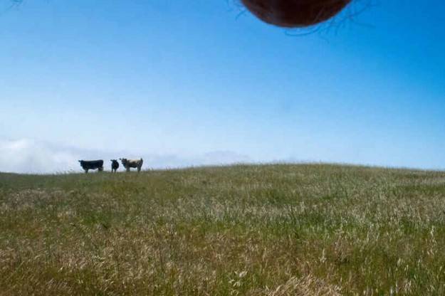 当蛋蛋遇上美景：只有男人才能拍出来的“蛋景照”