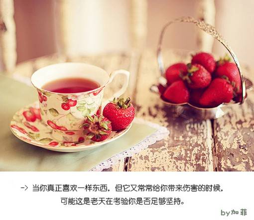 爱情小清新句子配图