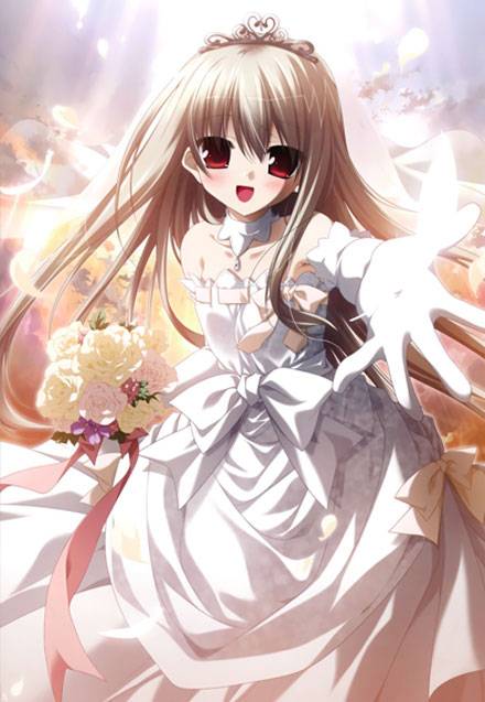 二次元婚纱美少女图集5（5）