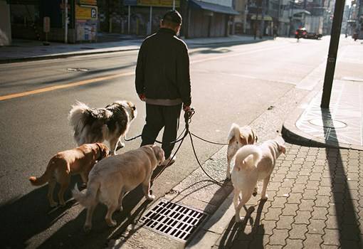 小确幸感十足的日本街拍唯美风光图片