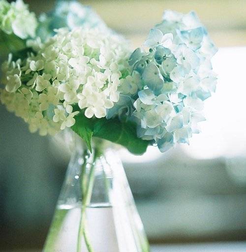 日系小清新图片