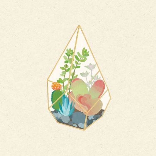 多肉植物的小清新手绘插画