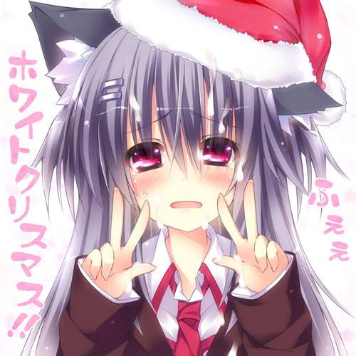 二次元兽耳美少女第八弹（5）