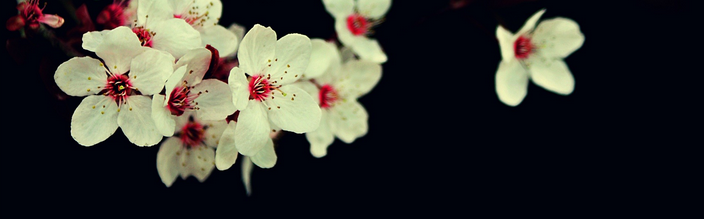 如果想提升自己的品味,不妨先提升自己的能力