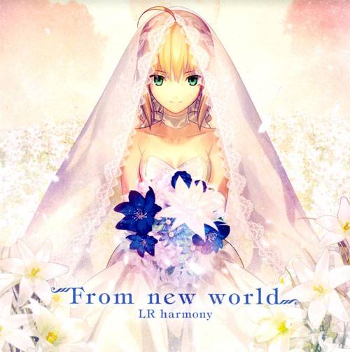 《Fate》吾王Saber美图集（）